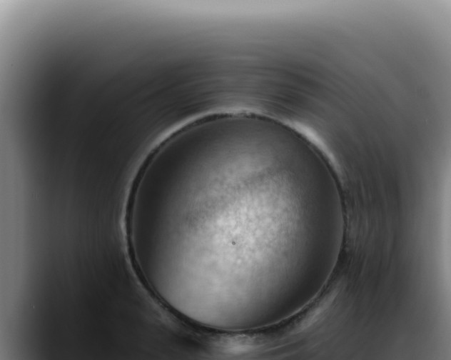 X0000088410943200705291446