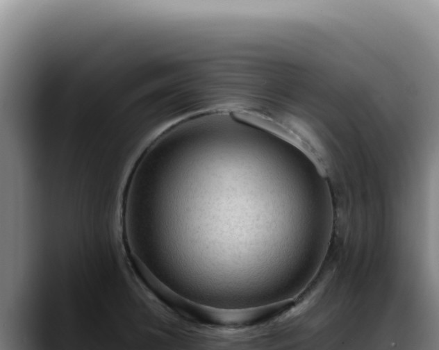 X0000088410948200705291446