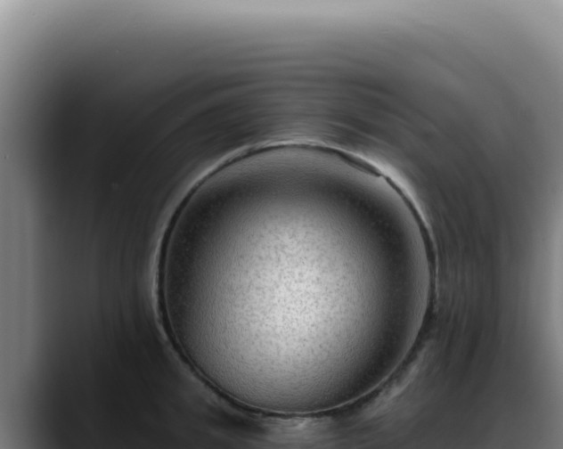 X0000088410949200705291446