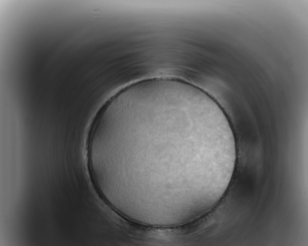 X0000088410950200705291446
