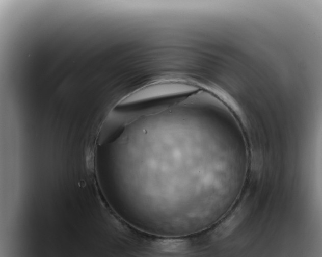X0000088410953200705291446