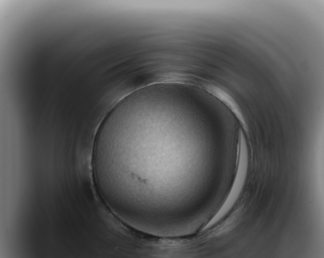 X0000088410954200705291446