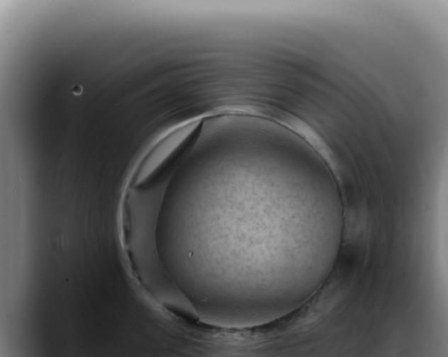 X0000088410955200705291446