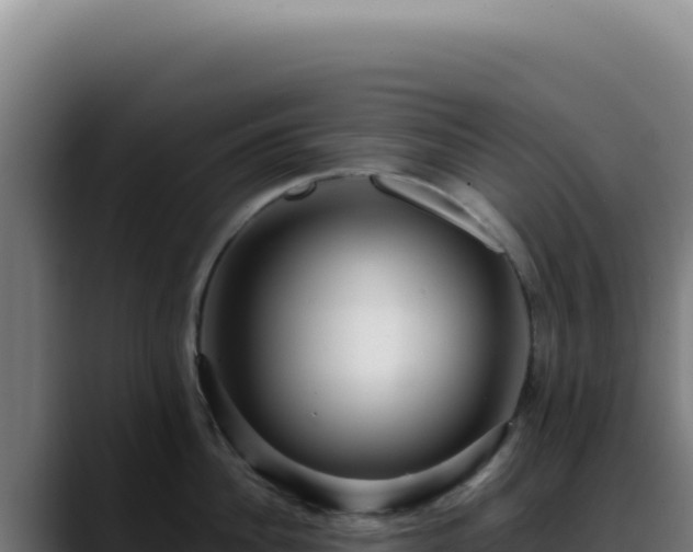 X0000088410956200705291446
