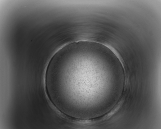X0000088410957200705291446