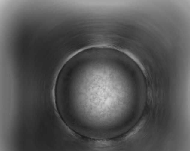 X0000088410959200705291446