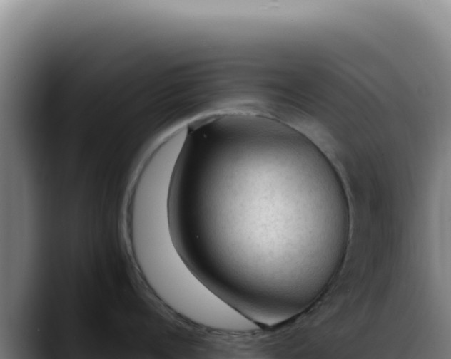 X0000088410960200705291446