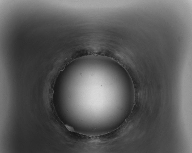 X0000088410961200705291446