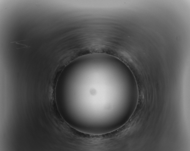 X0000088410964200705291446