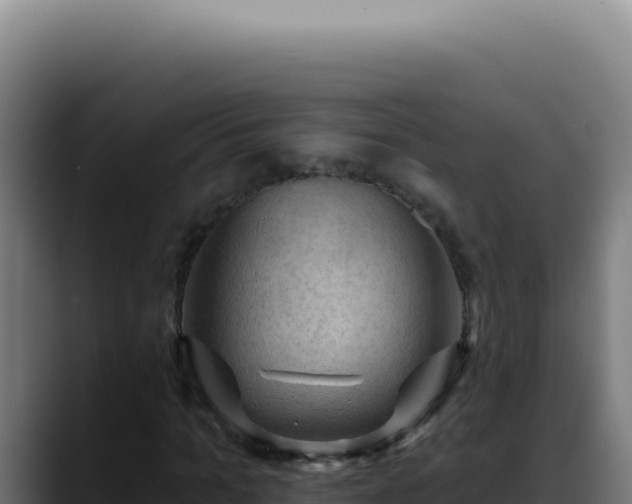 X0000088410965200705291446