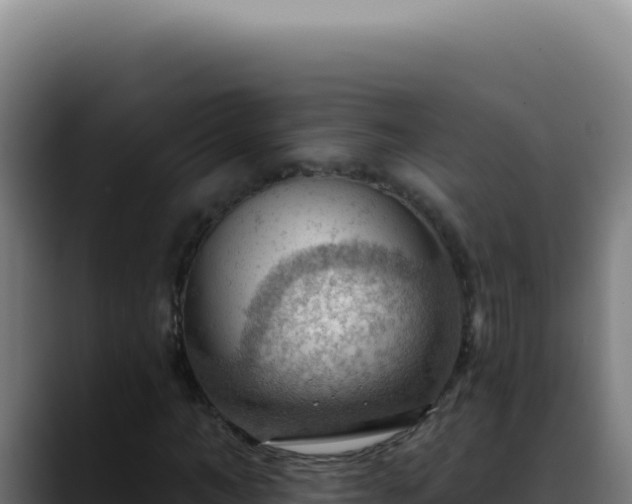 X0000088410966200705291446