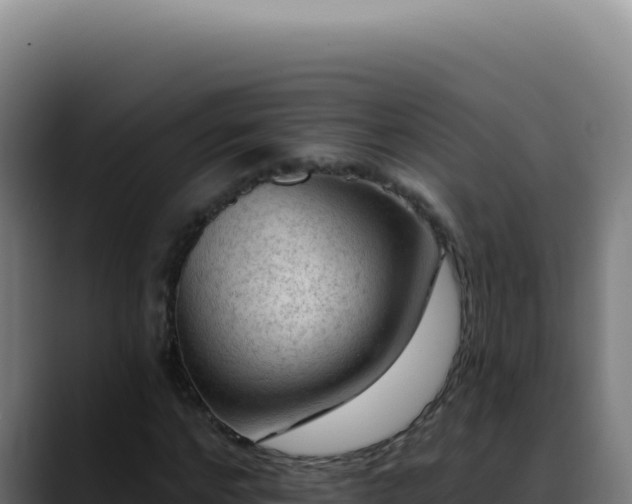 X0000088410968200705291446