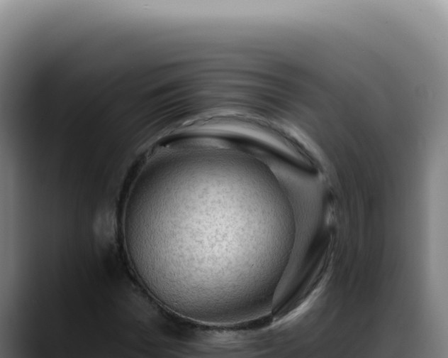 X0000088410969200705291446