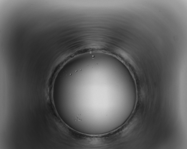 X0000088410970200705291446