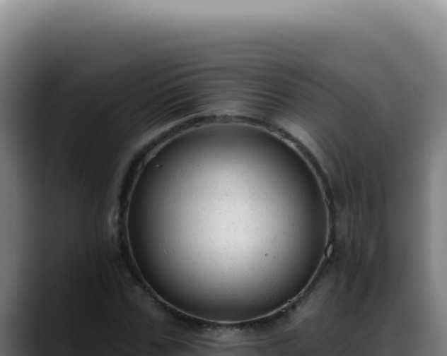 X0000088410971200705291446