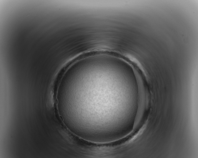 X0000088410973200705291446