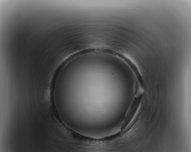 X0000088410975200705291446