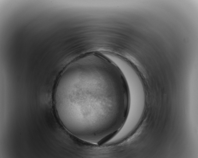 X0000088410977200705291446