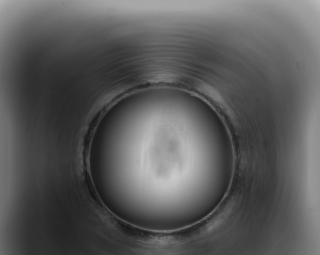 X0000088410978200705291446