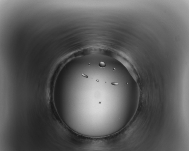 X0000088410979200705291446