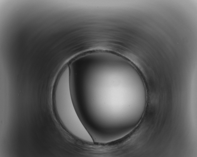 X0000088410980200705291446