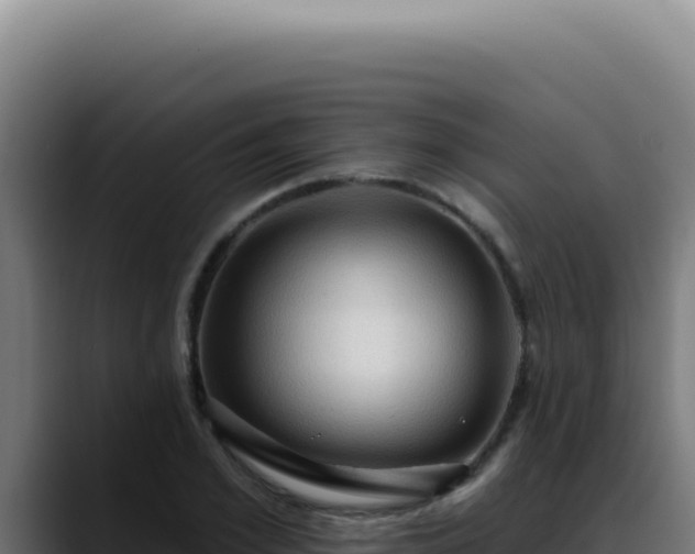 X0000088410981200705291446