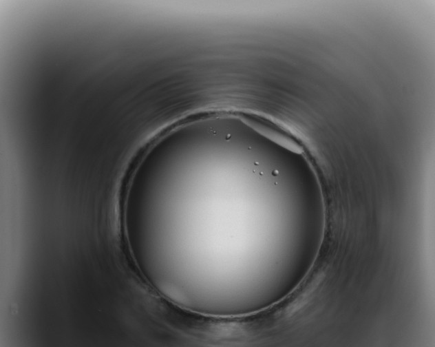 X0000088410982200705291446