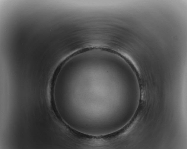 X0000088410983200705291446