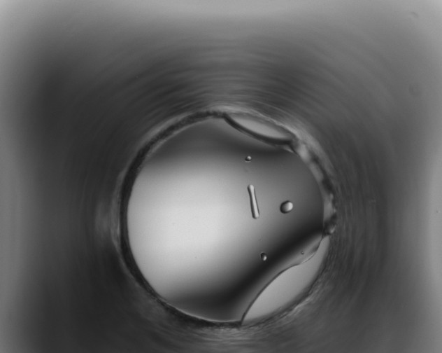 X0000088410984200705291446