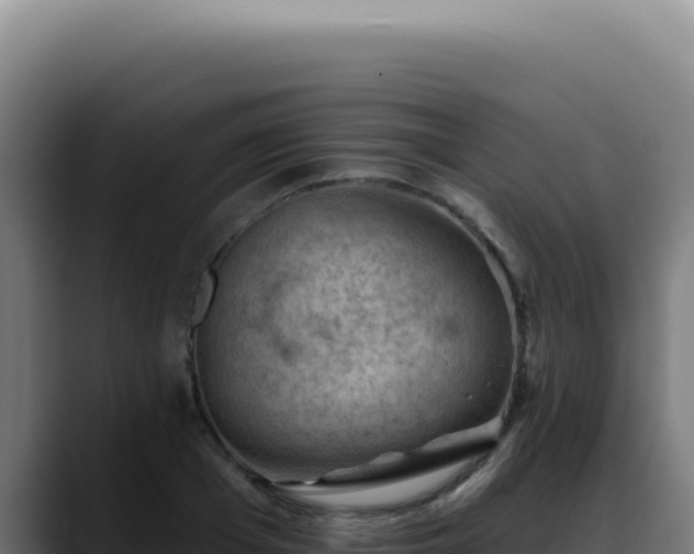 X0000088410985200705291446