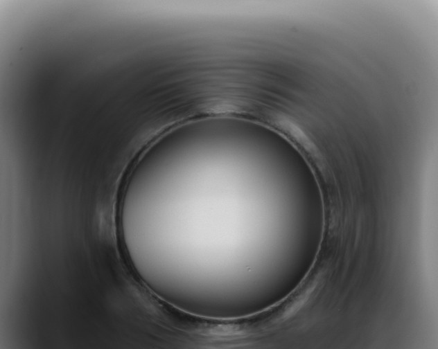 X0000088410986200705291446