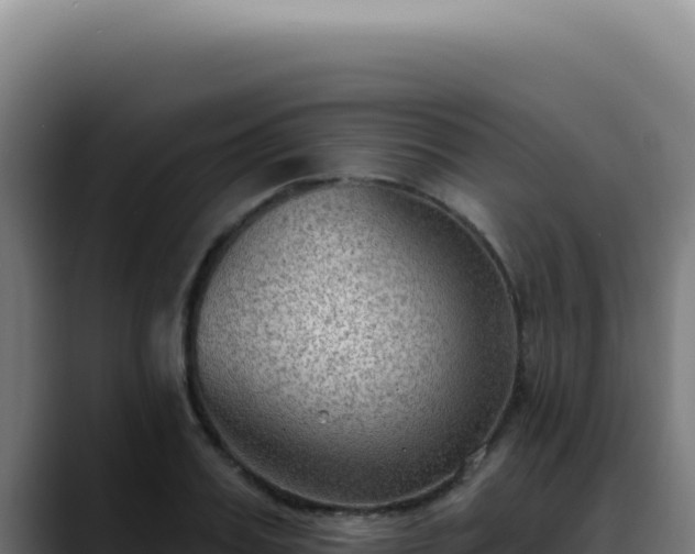 X0000088410987200705291446