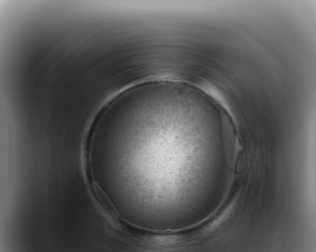 X0000088410989200705291445