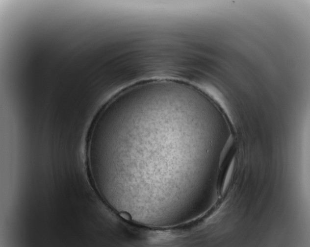 X0000088410990200705291445