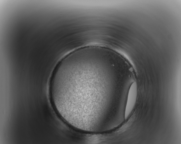 X0000088410991200705291445