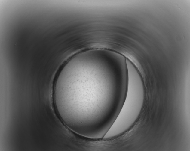 X0000088410992200705291445