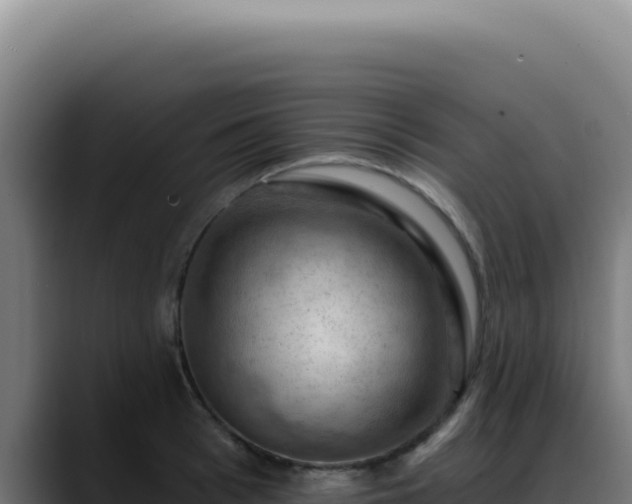 X0000088410993200705291445