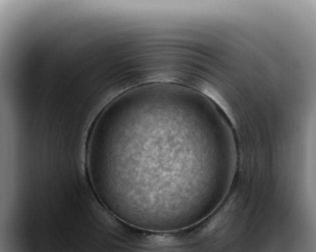 X0000088410994200705291445
