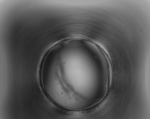 X0000088410995200705291445