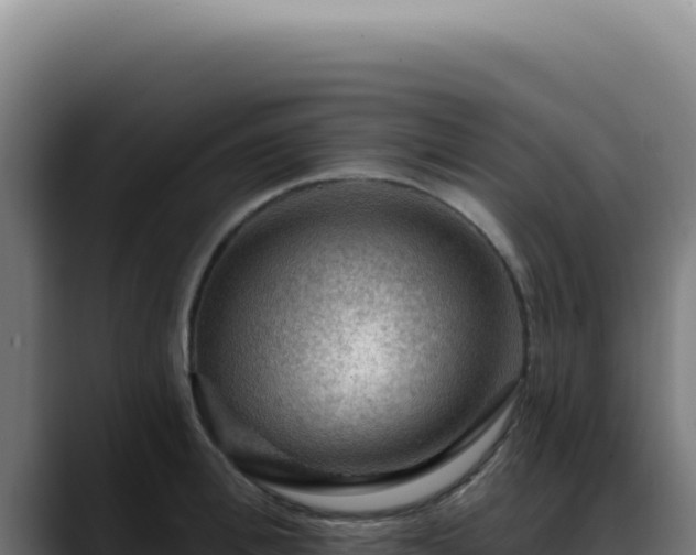 X0000088410996200705291445
