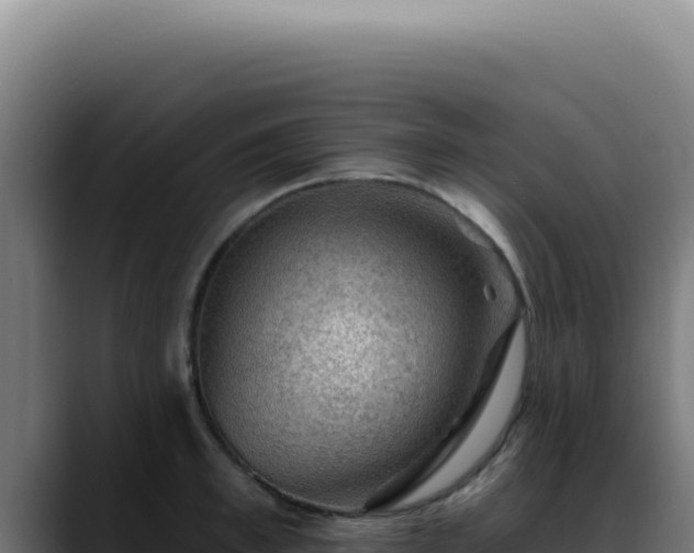 X0000088410997200705291445