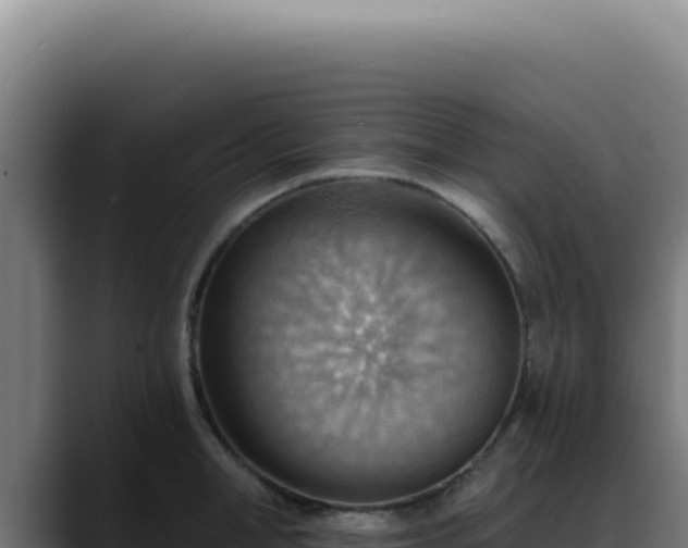 X0000088410998200705291445