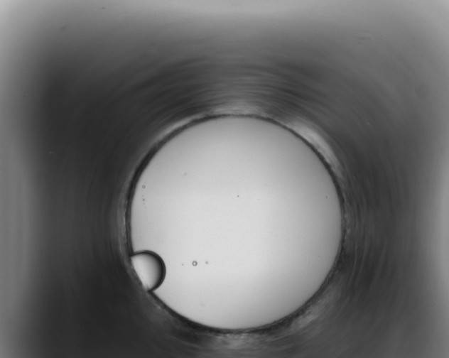 X0000088411000200705291445
