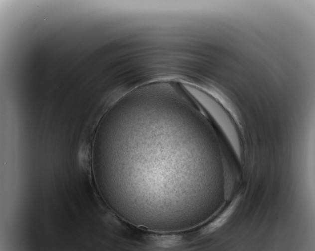 X0000088411001200705291445