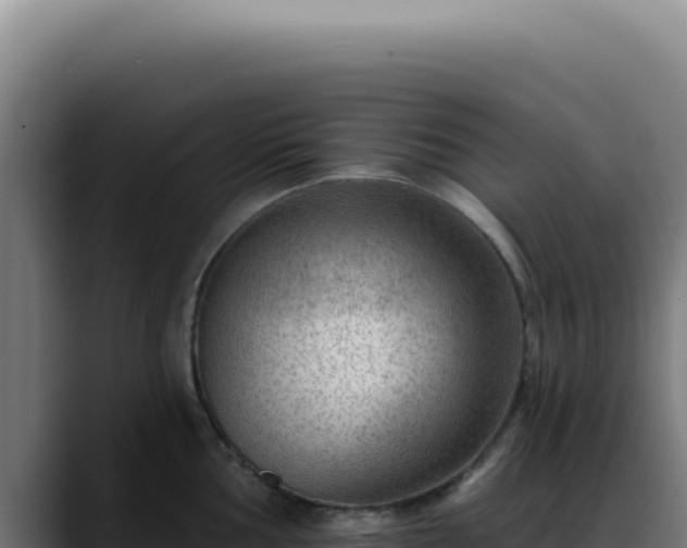 X0000088411002200705291445