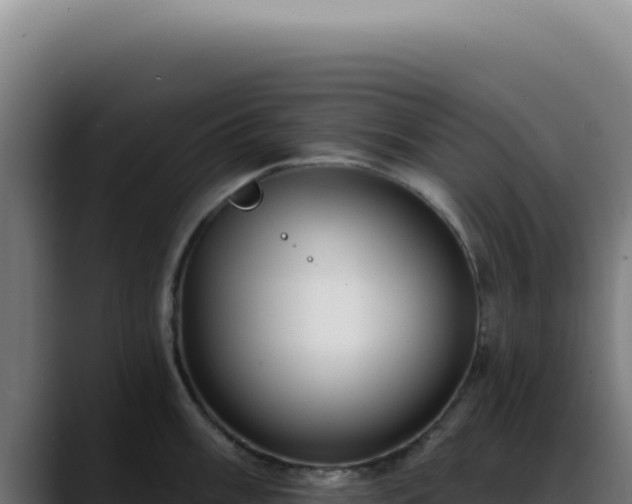 X0000088411003200705291445