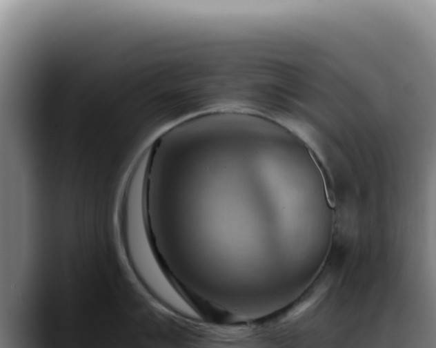 X0000088411007200705291445
