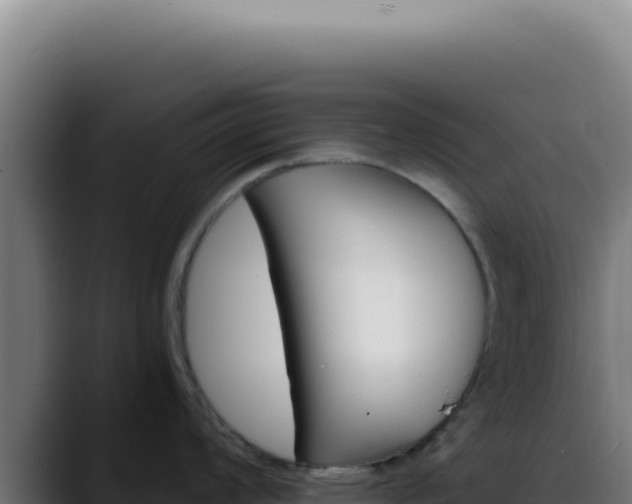 X0000088411008200705291445