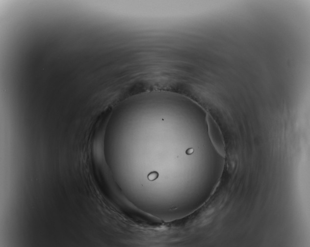 X0000088411010200705291445