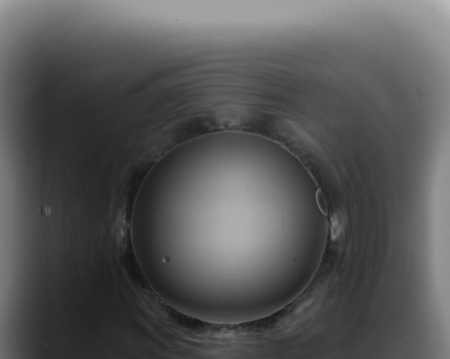 X0000088411011200705291445